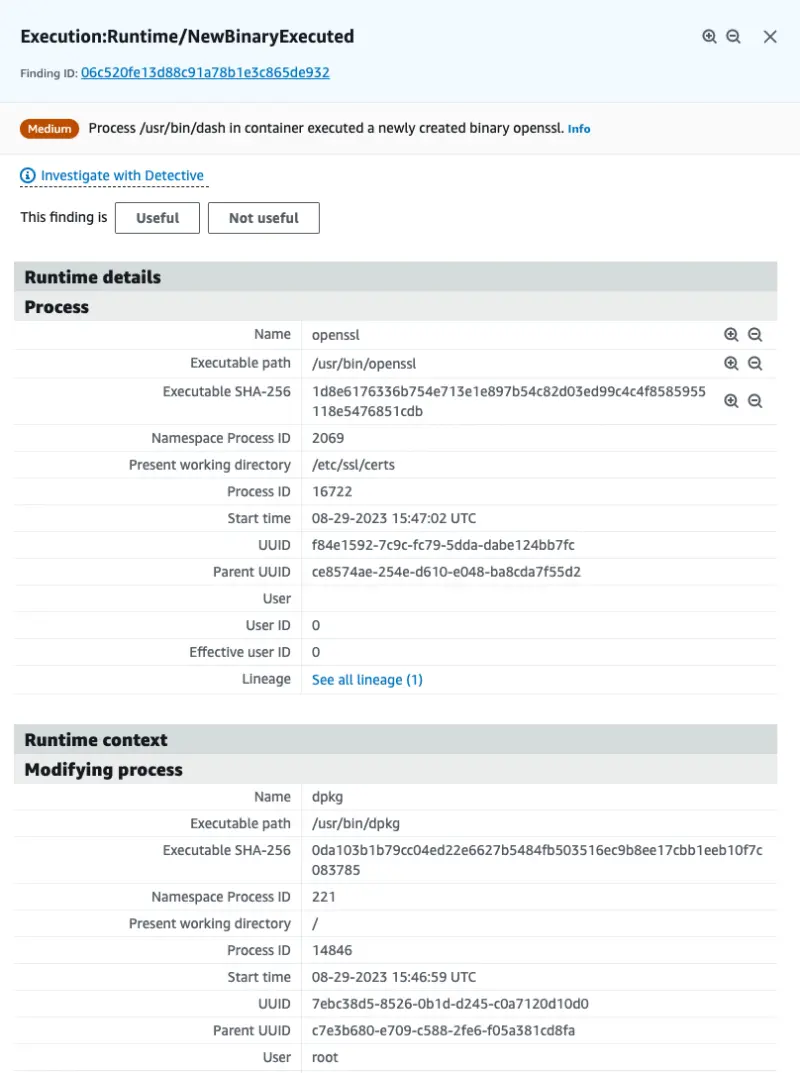 Binary execution finding