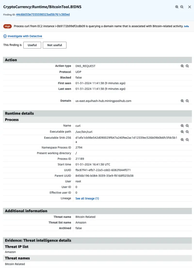 Crypto runtime finding