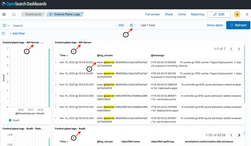 Control plane logs detail